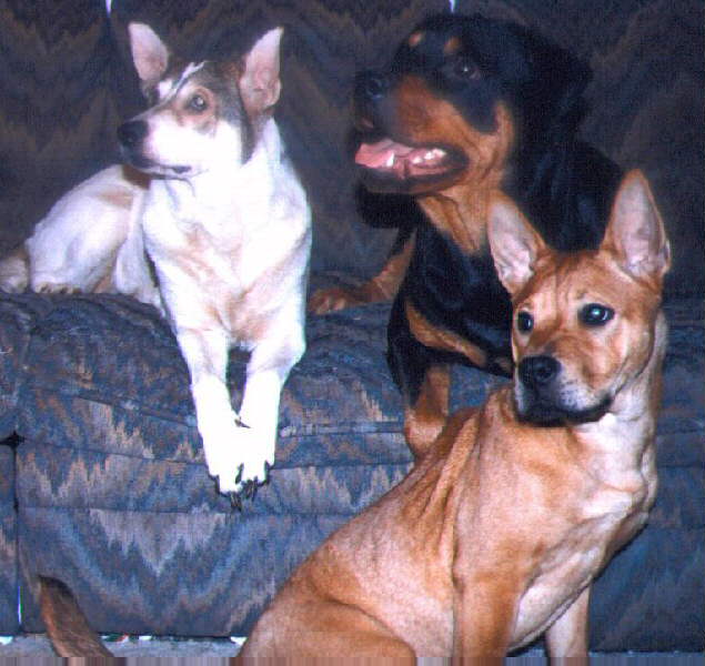 the girls
